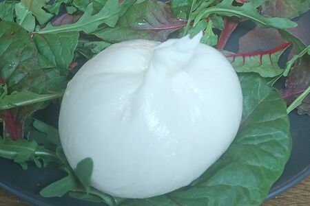 Сыр Буррата