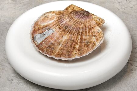 Гребешки сахалинские