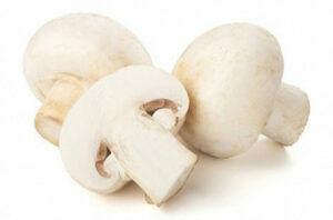 Шампиньоны