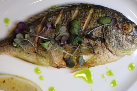 Безмолвная дорадо