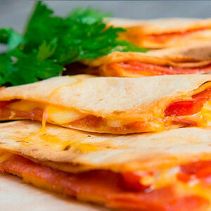 Поло кесадилья