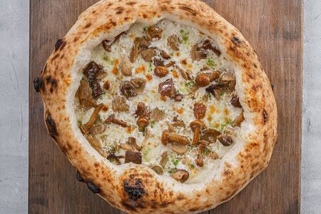 Фунги порчини