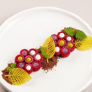 Ազնվամորու Ակցենտ պիստակի չիպսերով