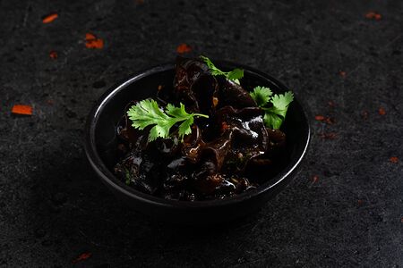 Древесные грибы