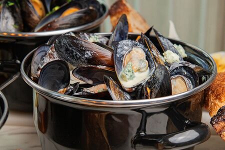 Мидии с соусом горгондзола на креветочном бульоне