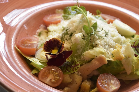 Салат цезарь с индейкой 200гр