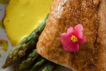 Судак в пасте мисо со спаржей и сливочным соусом