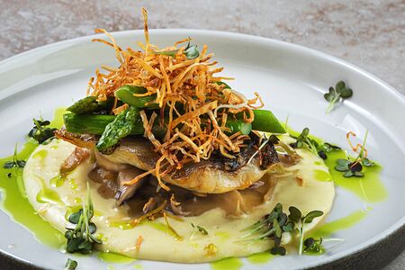 Угольная рыба с кремом из сельдерея, спаржей и вешенками