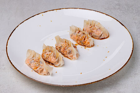 Гёдза с цыплёнком