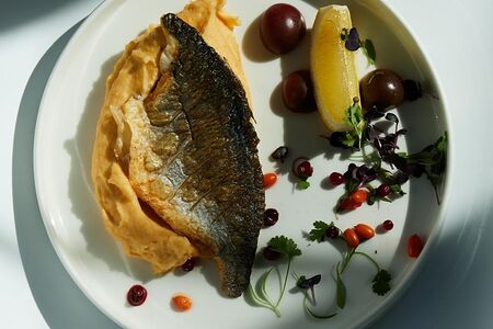 Филе дорадо