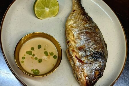 Дорадо, соус понзу-кокос