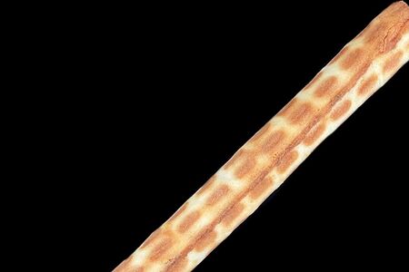 Вафельная трубочка со сгущенкой