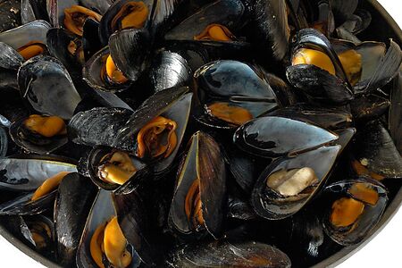 Мидии в сливочном соусе