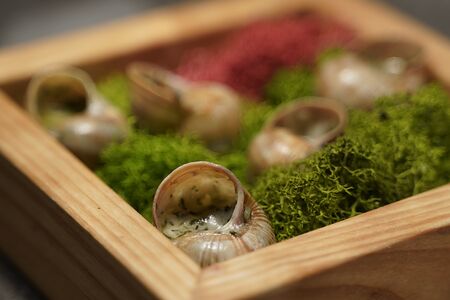 Винoградные улитки