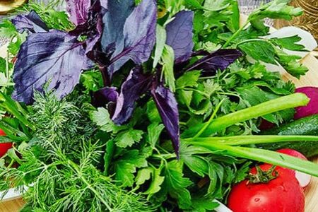 Зелёная тарелка 