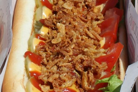 Датский дог