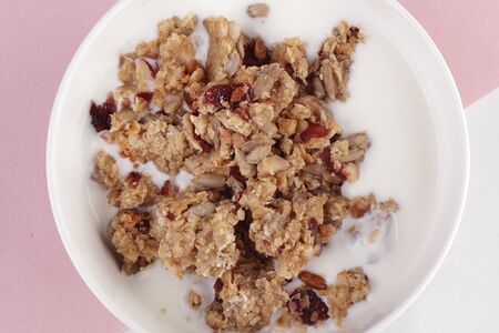 Гранола из овсяных хлопьев с орехами, медом и вяленой клюквой