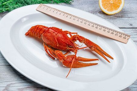 Раки севанские №6