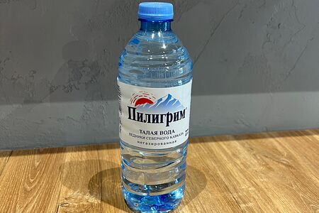 Вода Пилигрим