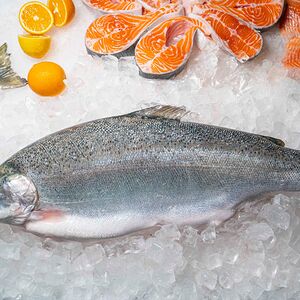 Форель охлаждённая непотрошёная с головой Мурманск