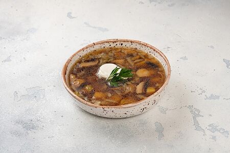 Юшка Грибная