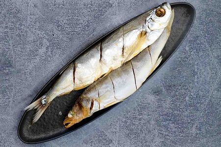 Ладожский судак