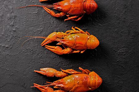 Рак средне-крупный вареный