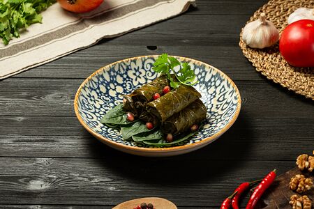 Долма из баранины с соусом цахтон