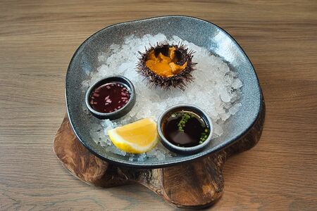 Морской еж Мурманск