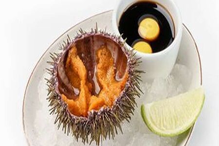 Мурманский ёж