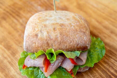 Панини Индейка