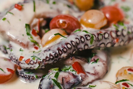 Осьминог в белом вине с травами