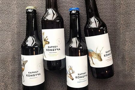 Комбуча классическая