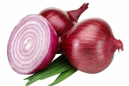 Красный лук