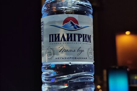 Пилигрим