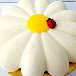 Торт Чаровница