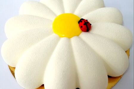 Торт Чаровница