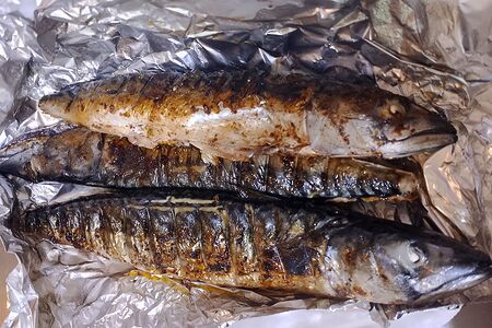 Скумбрия на углях