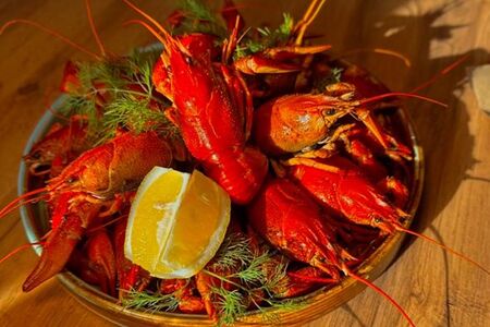 Раки 6 категории