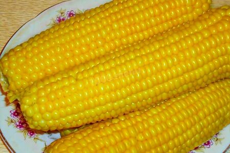 Кукуруза вареная