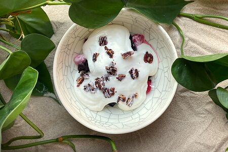 Кокосовый сметанник с шоколадным бисквитом