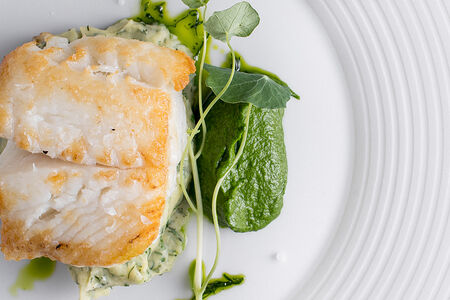 Синекорый палтус