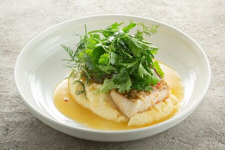 Ладожский судак с сырным пюре и миксом пряных трав