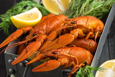 Рак крупный вареный