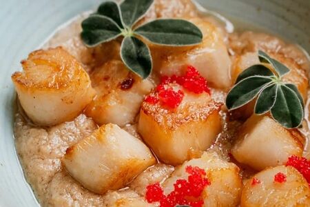 Жаренный гребешок с муссом из цветной капусты