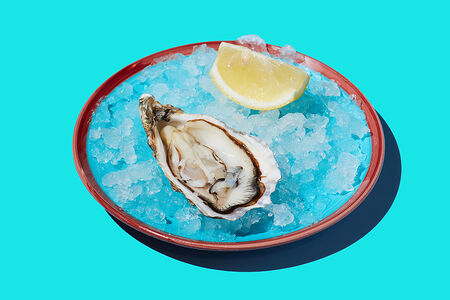 Устрица Розовая Джоли