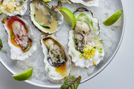 Устрица императорская средняя