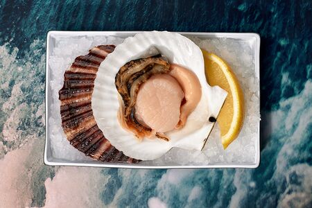 Морской гребешок в ракушке