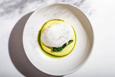 Командорский кальмар со шпинатом и картофельным кремом