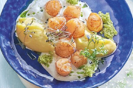 Жареные гребешки с крем-картофелем